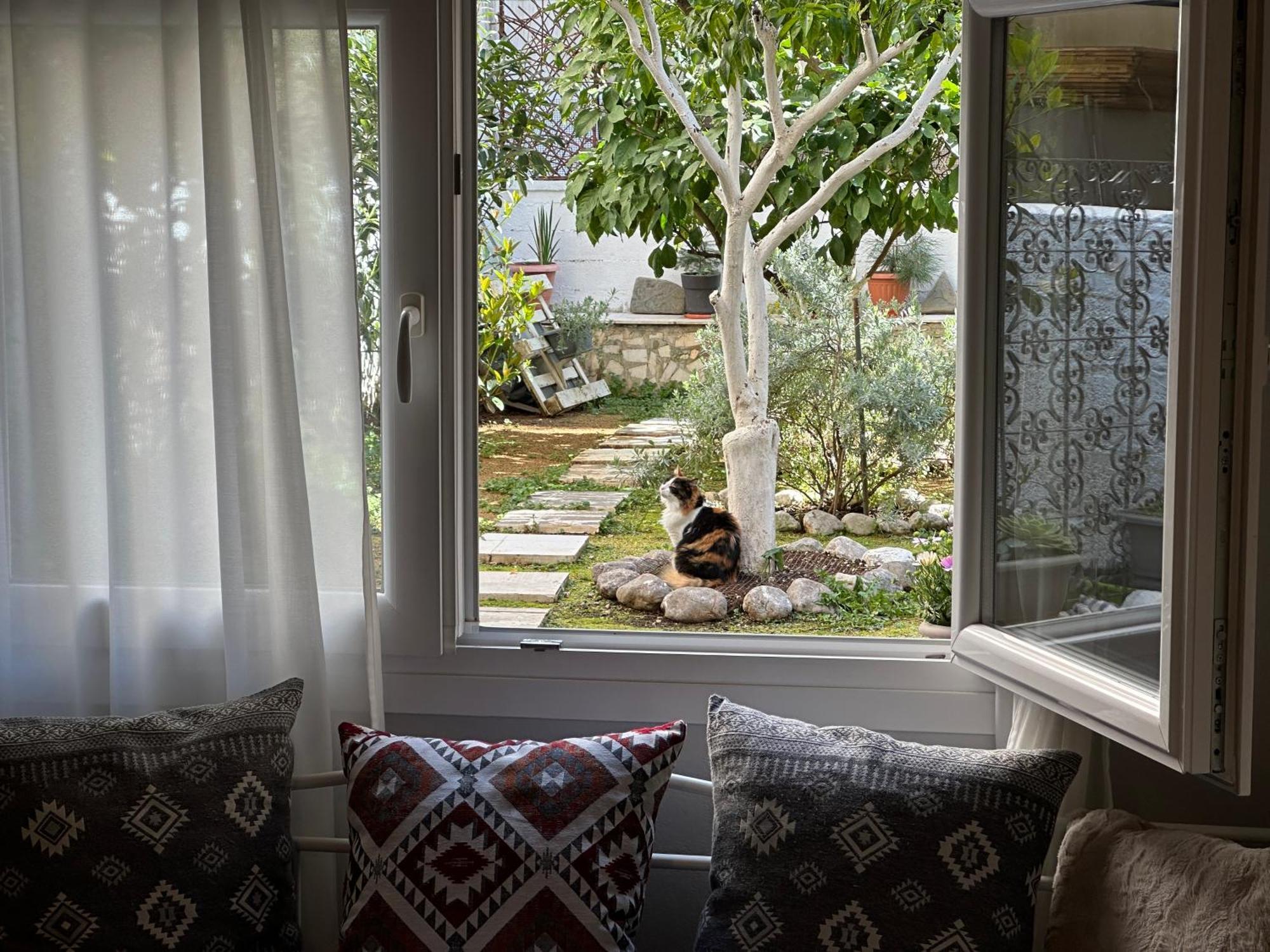 Apartamento Νόστος Στο Κέντρο Των Ιωαννίνων Ioánina Exterior foto